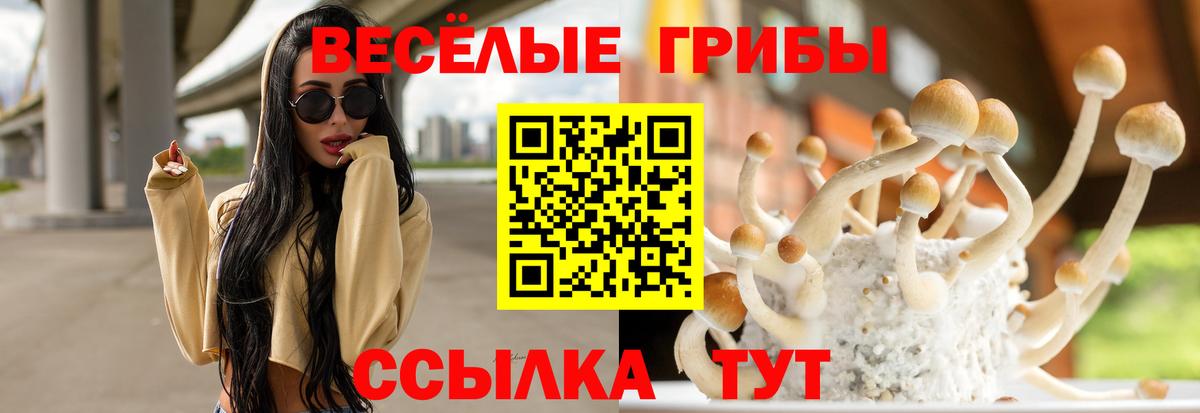 Сибай  Псилоцибиновые грибы Cubensis  Вход с VPN 